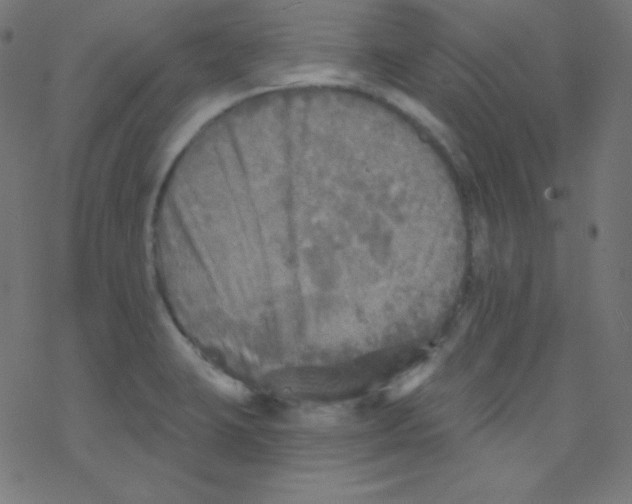 X0000078301423200612011823