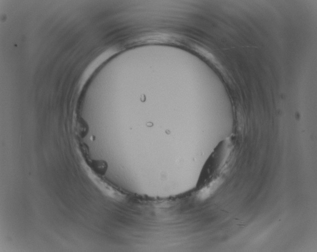 X0000078301426200612011823