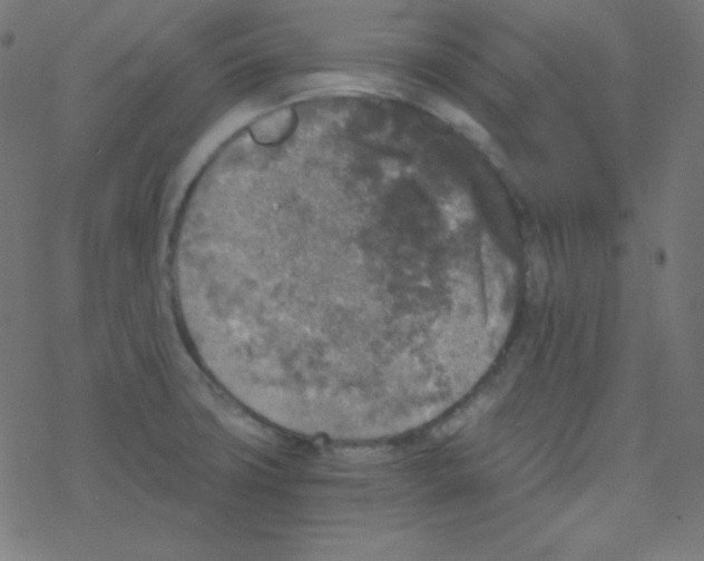 X0000078301427200612011823