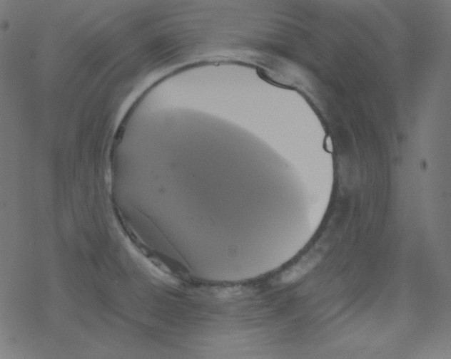 X0000078301428200612011823