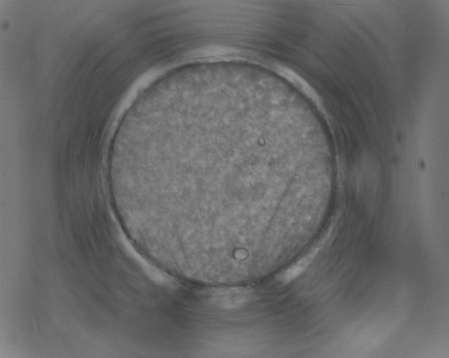 X0000078301429200612011823