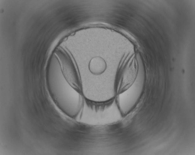 X0000078301430200612011823