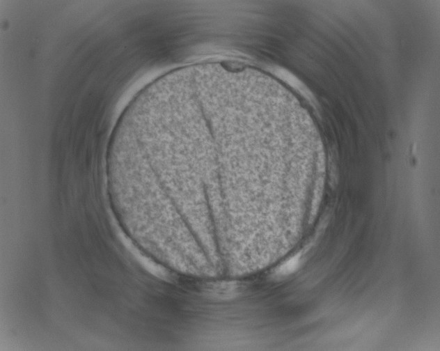 X0000078301431200612011823