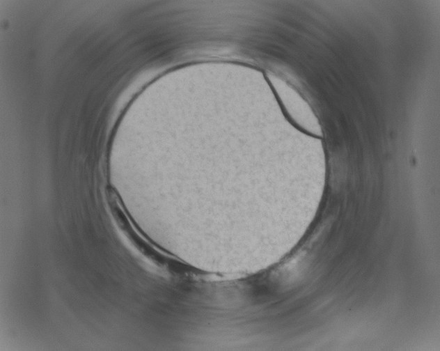 X0000078301432200612011823