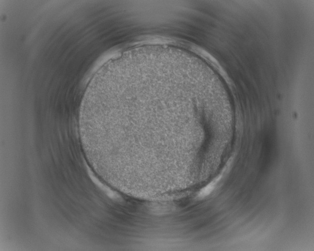 X0000078301433200612011823