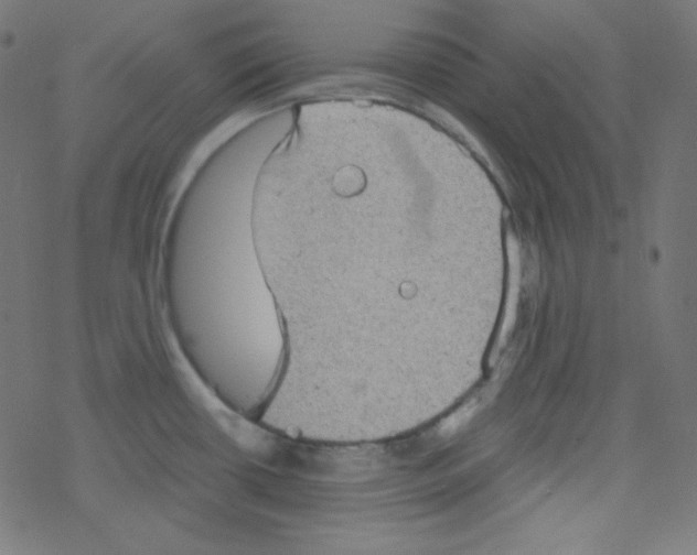 X0000078301434200612011823