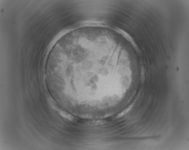 X0000078301435200612011823