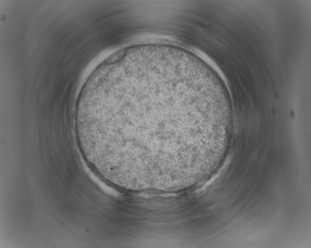 X0000078301437200612011823