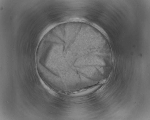 X0000078301439200612011823