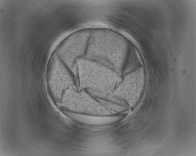 X0000078301440200612011823