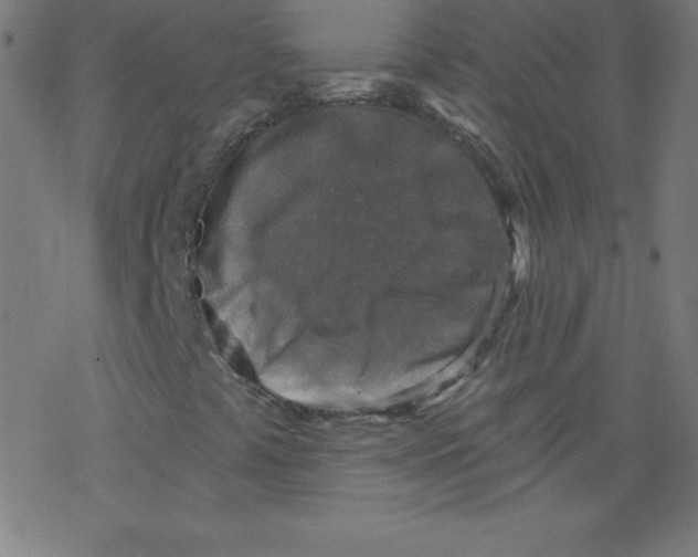 X0000078301441200612011823