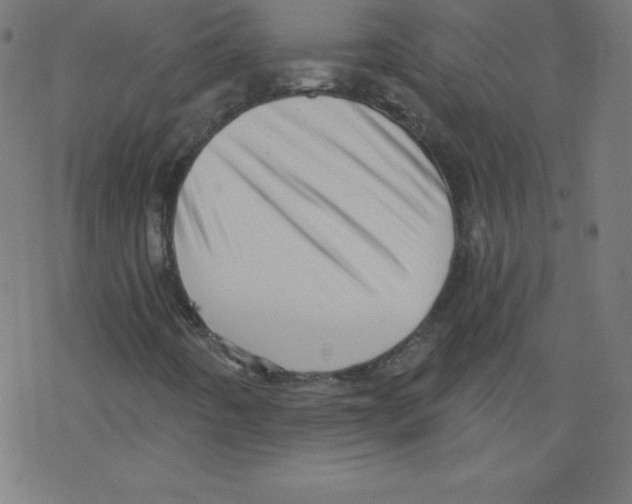 X0000078301442200612011823