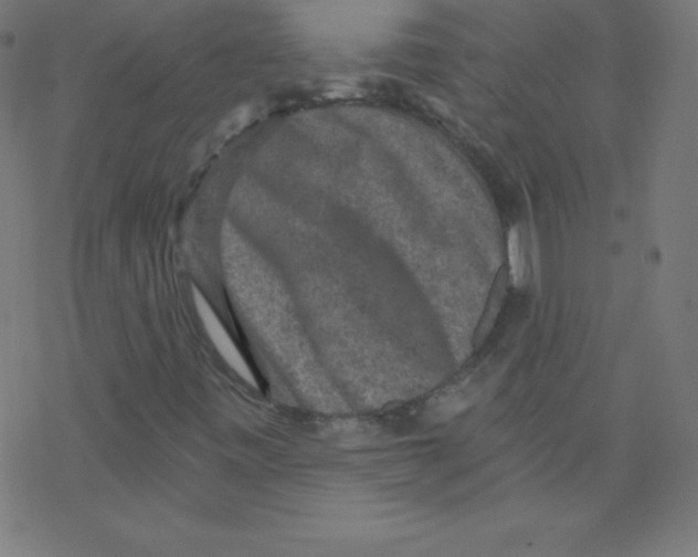 X0000078301443200612011823