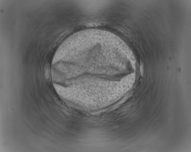 X0000078301444200612011823