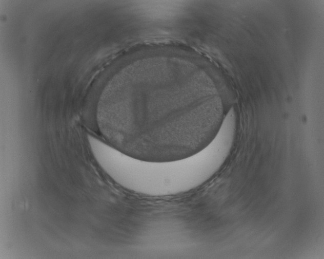 X0000078301445200612011823