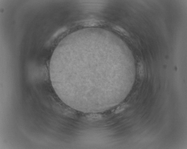 X0000078301446200612011823