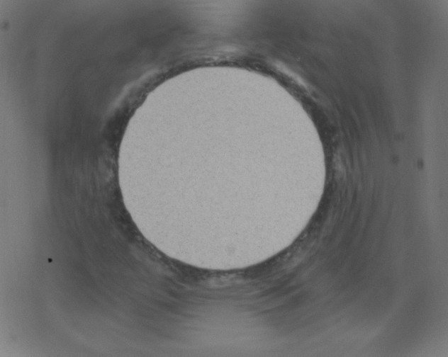 X0000078301447200612011823