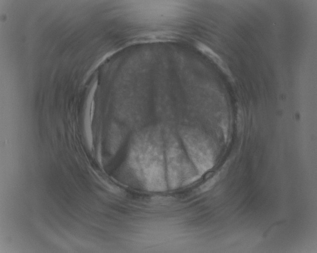 X0000078301449200612011823