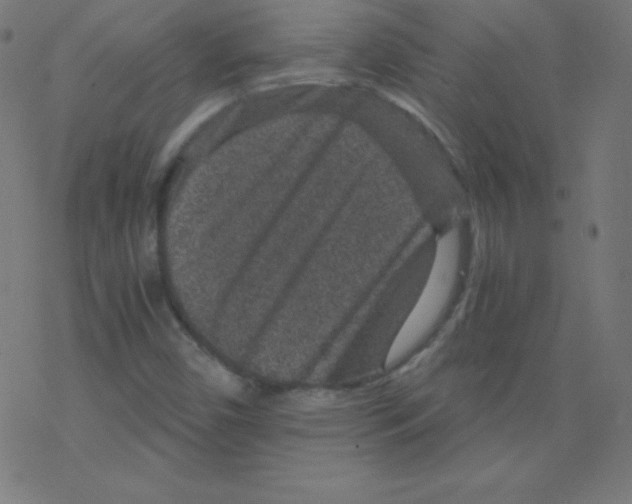 X0000078301450200612011823