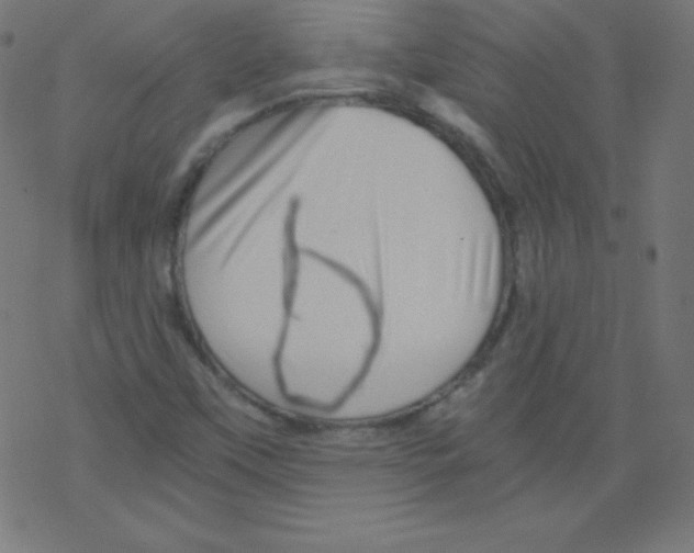 X0000078301451200612011823