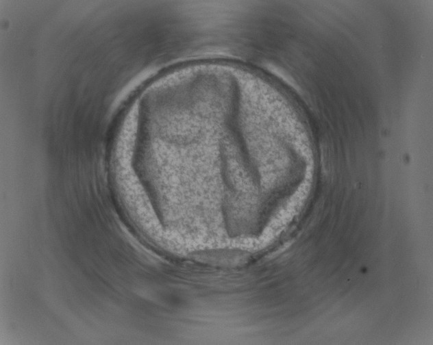 X0000078301452200612011823