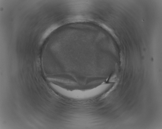 X0000078301453200612011823