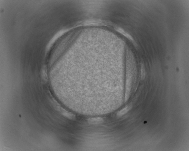 X0000078301454200612011822