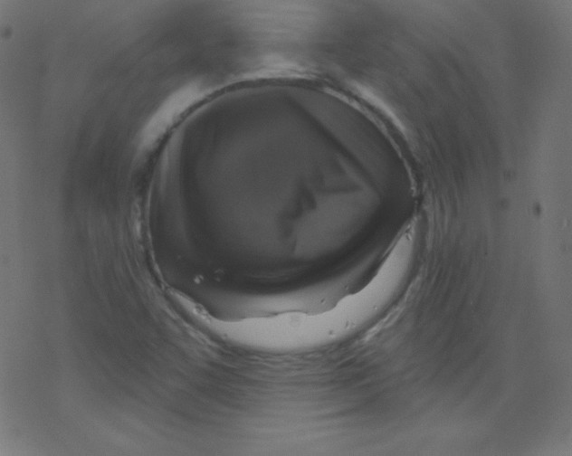 X0000078301455200612011822