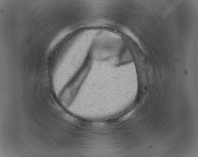 X0000078301456200612011822