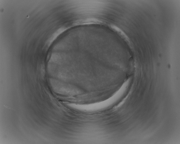 X0000078301457200612011822