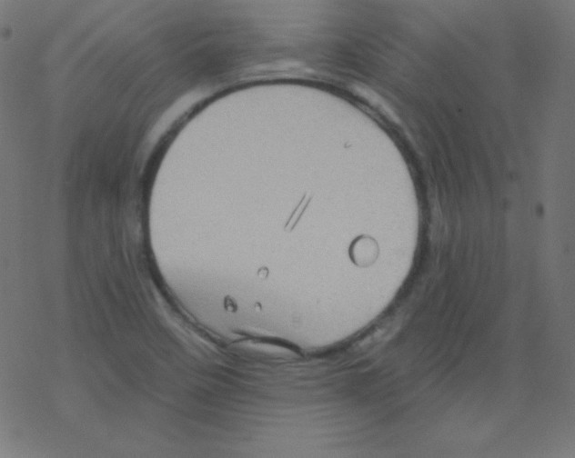 X0000078301458200612011822