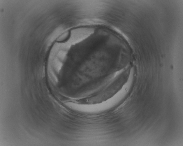 X0000078301459200612011822