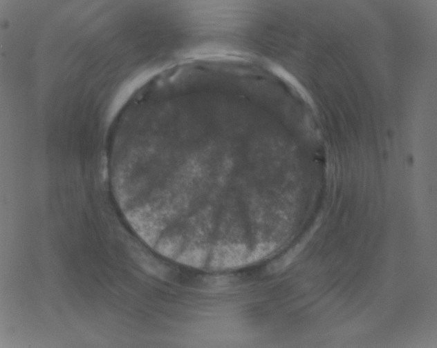 X0000078301461200612011822