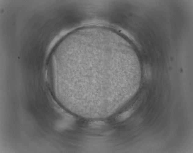 X0000078301462200612011822