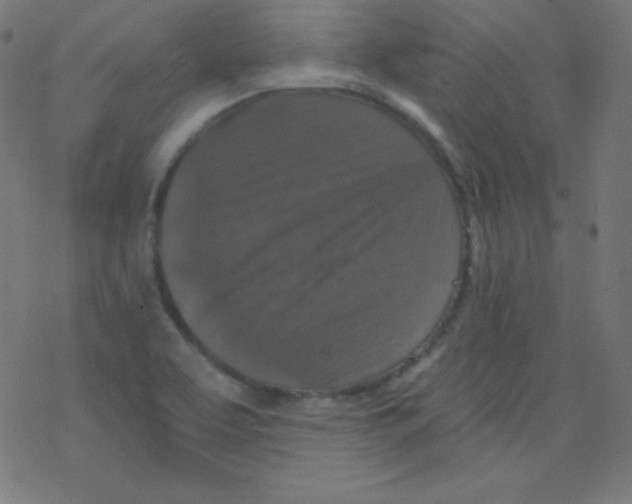 X0000078301463200612011822