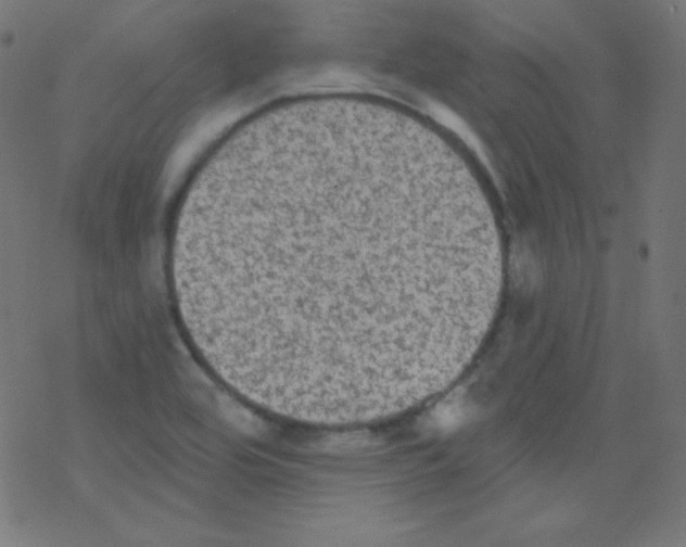 X0000078301464200612011822