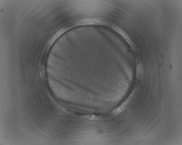 X0000078301465200612011822