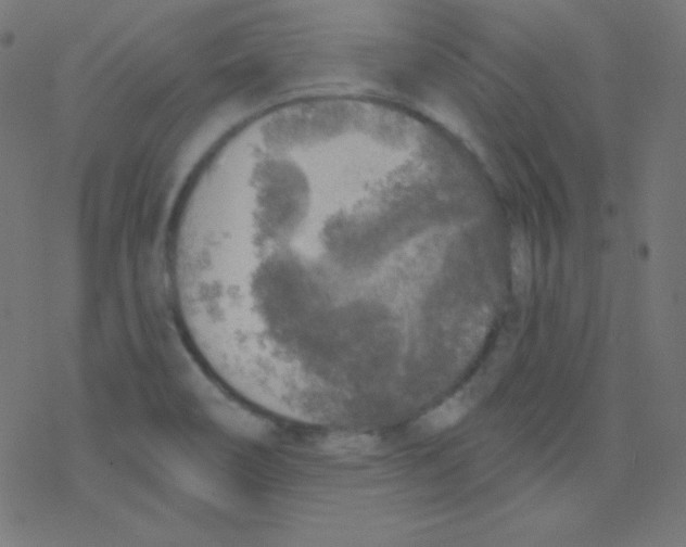 X0000078301466200612011822