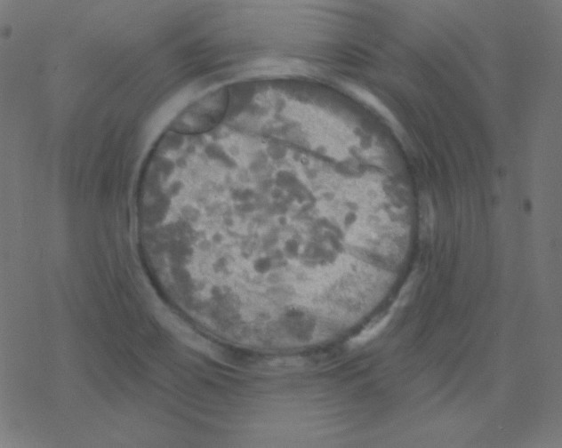 X0000078301467200612011822