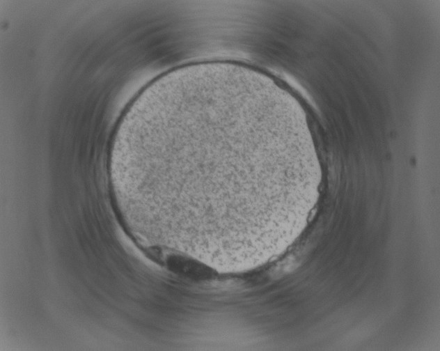 X0000078301468200612011822