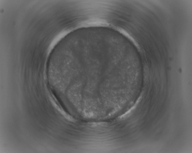 X0000078301469200612011822