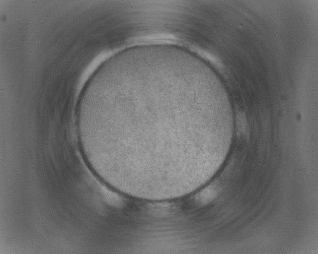 X0000078301470200612011822