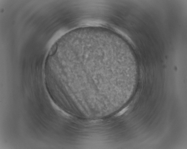 X0000078301471200612011822