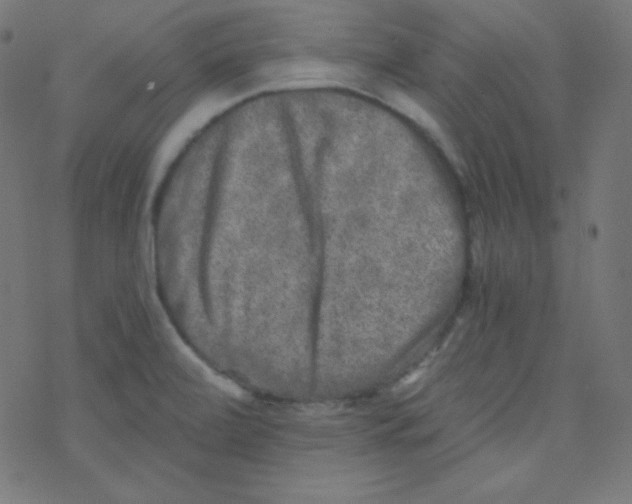 X0000078301472200612011822