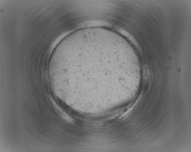 X0000078301473200612011822