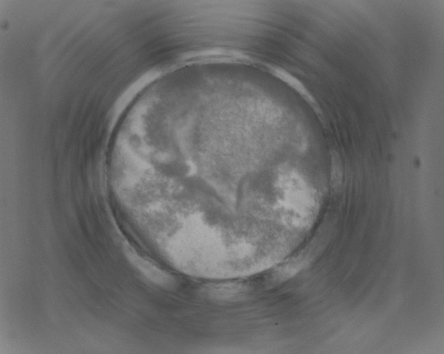 X0000078301474200612011822