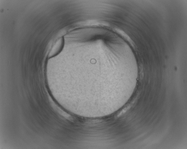 X0000078301475200612011822