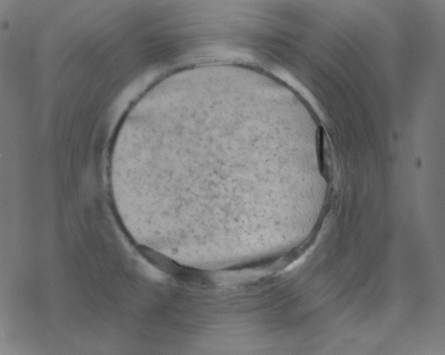 X0000078301477200612011822