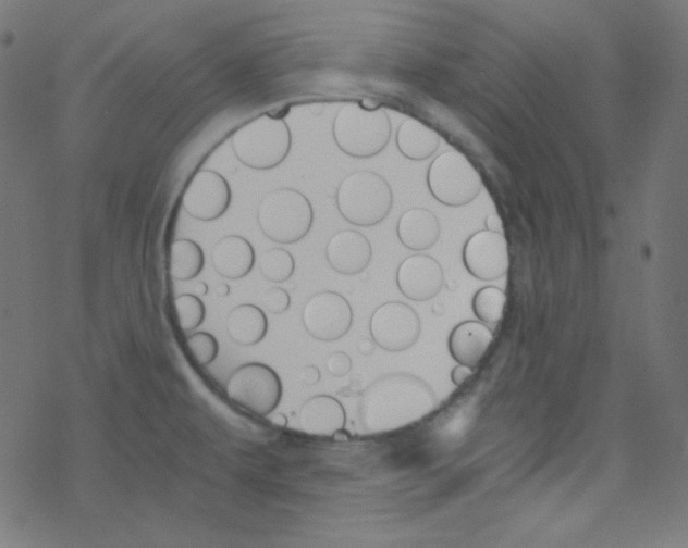 X0000078301479200612011822