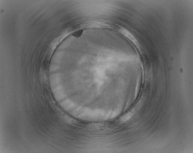 X0000078301481200612011822